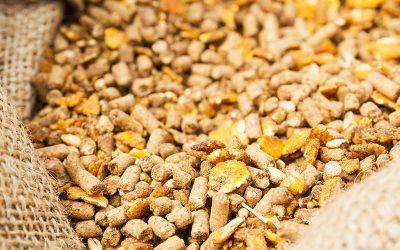 feed-additives feed-additives